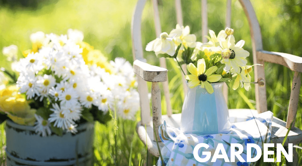 Product Image English